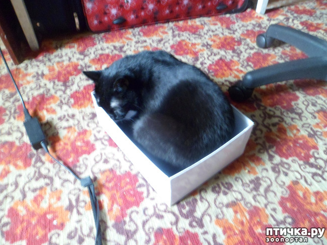 ���� 2: ����������� � ������)))