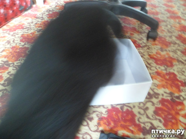 ���� 4: ����������� � ������)))