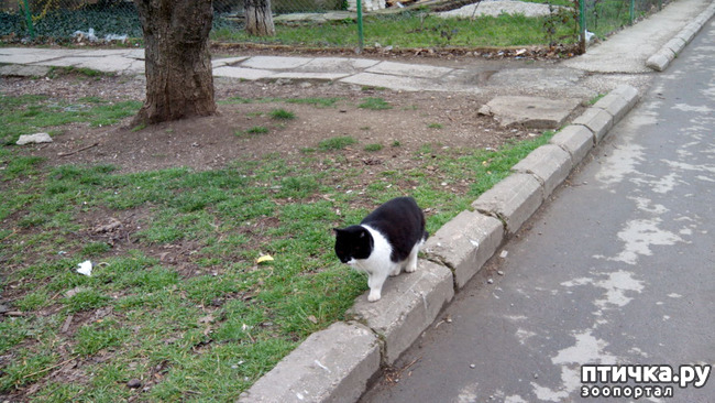 ���� 4: ��� � ����� �������