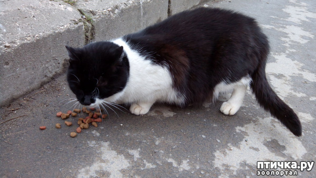 ���� 5: ��� � ����� �������