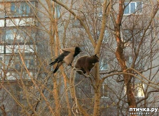 ���� 1: ���� ���������