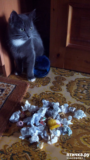 ����: �� ������� ��������