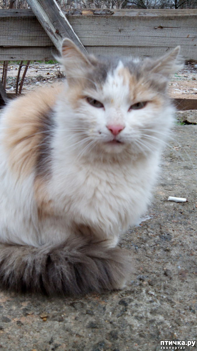 ���� 1: ��� � ����� �������