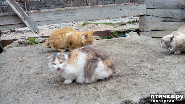 ���� 2: ��� � ����� �������