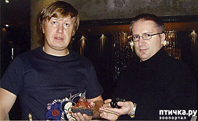 ���� 1: ������ �������� �������� �� Gerd Dreher