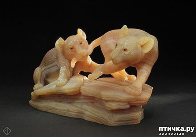 ���� 2: ������ �������� �������� �� Gerd Dreher