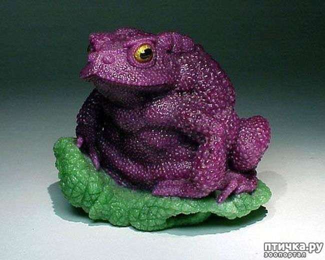 ���� 5: ������ �������� �������� �� Gerd Dreher