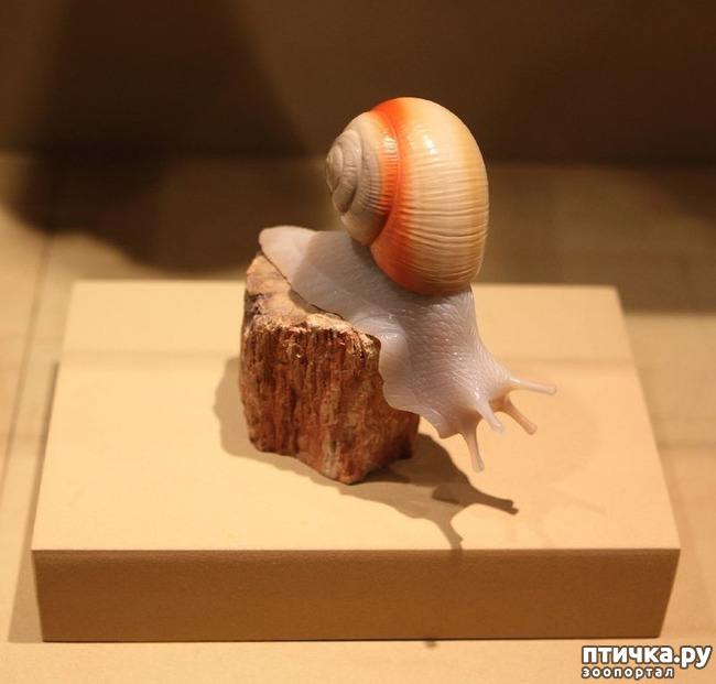 ���� 6: ������ �������� �������� �� Gerd Dreher