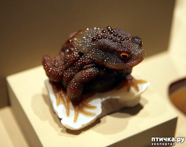 ���� 7: ������ �������� �������� �� Gerd Dreher