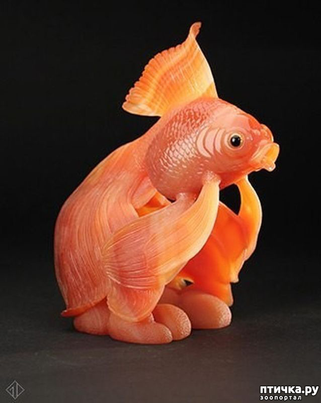 ���� 8: ������ �������� �������� �� Gerd Dreher