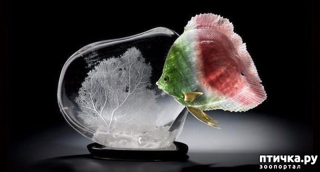 ���� 4: ������ �������� �������� �� Gerd Dreher