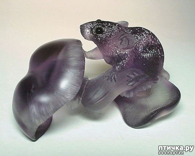 ���� 12: ������ �������� �������� �� Gerd Dreher