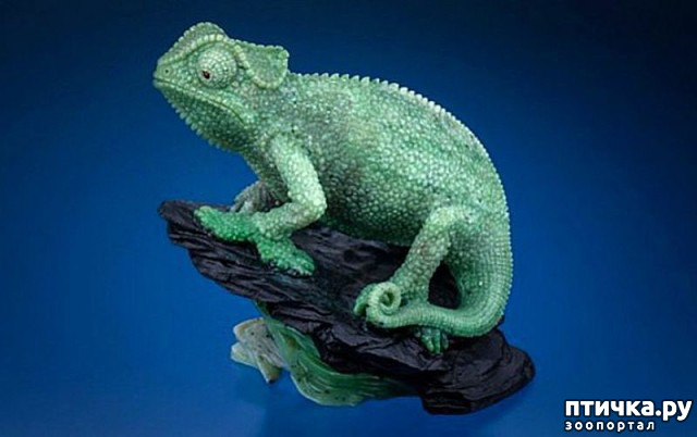 ���� 9: ������ �������� �������� �� Gerd Dreher