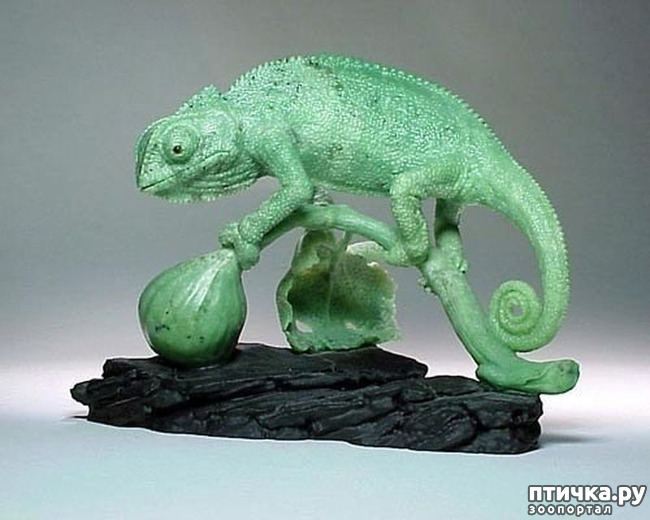 ���� 15: ������ �������� �������� �� Gerd Dreher