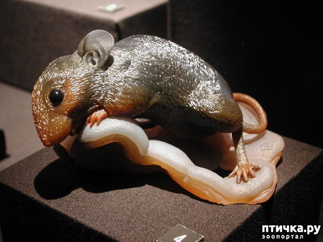 ���� 14: ������ �������� �������� �� Gerd Dreher