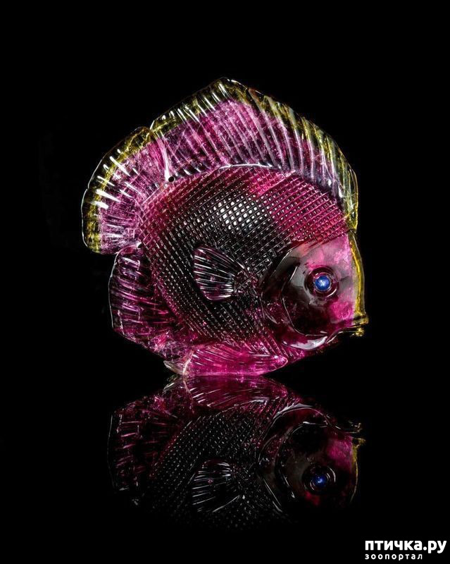 ���� 19: ������ �������� �������� �� Gerd Dreher