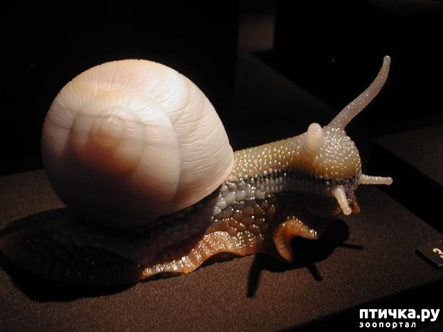 ���� 17: ������ �������� �������� �� Gerd Dreher