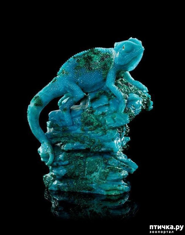 ���� 22: ������ �������� �������� �� Gerd Dreher