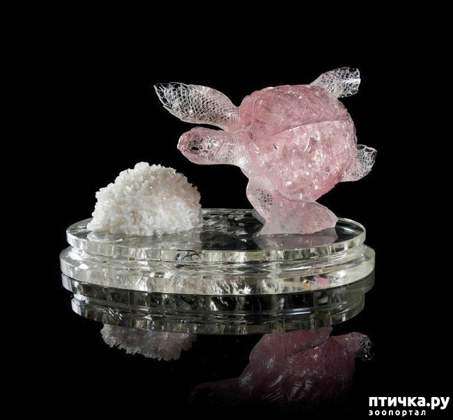 ���� 21: ������ �������� �������� �� Gerd Dreher