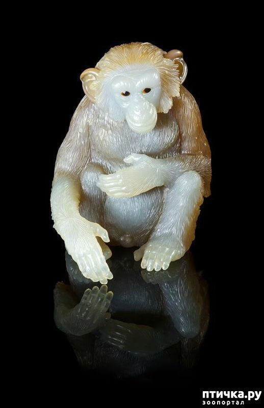 ���� 26: ������ �������� �������� �� Gerd Dreher