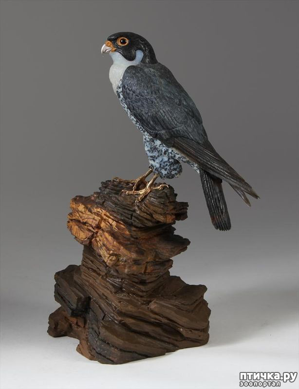 ���� 18: ������ �������� �������� �� Gerd Dreher