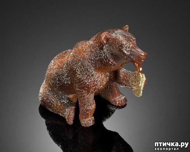 ���� 25: ������ �������� �������� �� Gerd Dreher