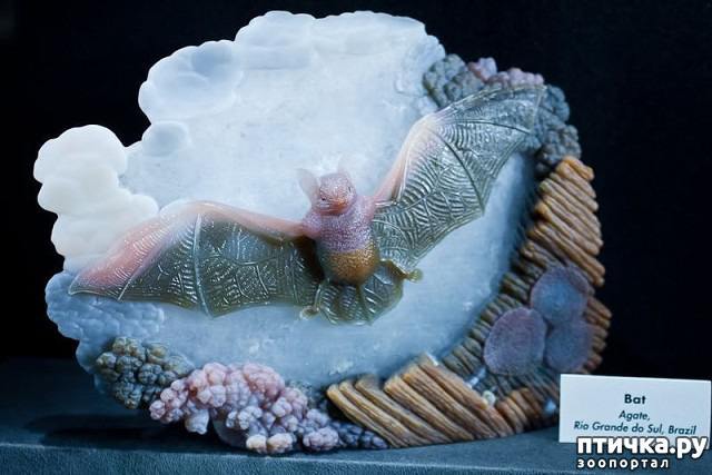 ���� 27: ������ �������� �������� �� Gerd Dreher