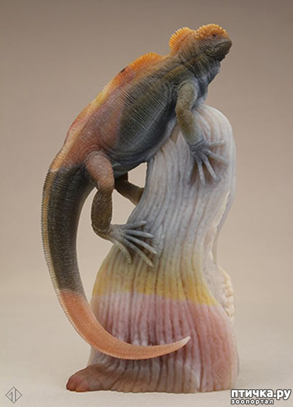 ���� 28: ������ �������� �������� �� Gerd Dreher