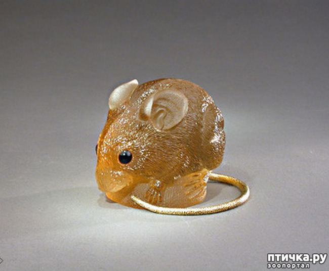 ���� 29: ������ �������� �������� �� Gerd Dreher