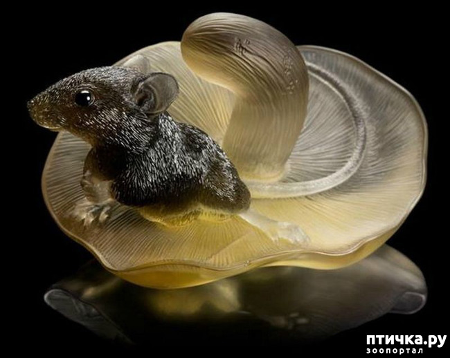 ���� 32: ������ �������� �������� �� Gerd Dreher