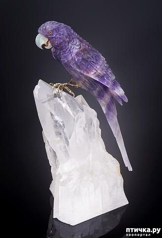 ���� 34: ������ �������� �������� �� Gerd Dreher