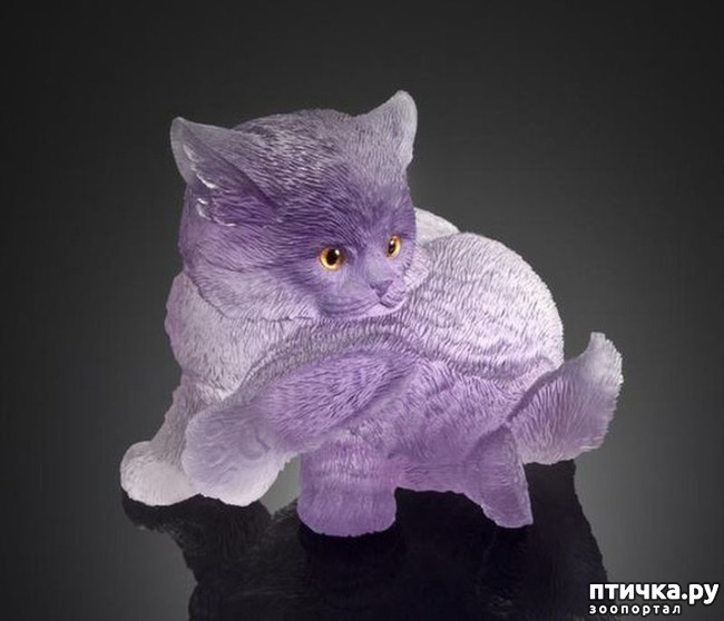 ���� 35: ������ �������� �������� �� Gerd Dreher