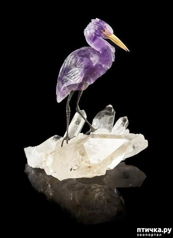 ���� 38: ������ �������� �������� �� Gerd Dreher