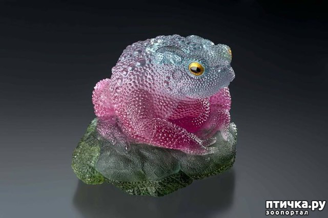 ���� 39: ������ �������� �������� �� Gerd Dreher