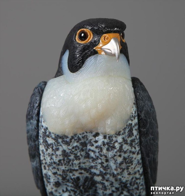 ���� 37: ������ �������� �������� �� Gerd Dreher