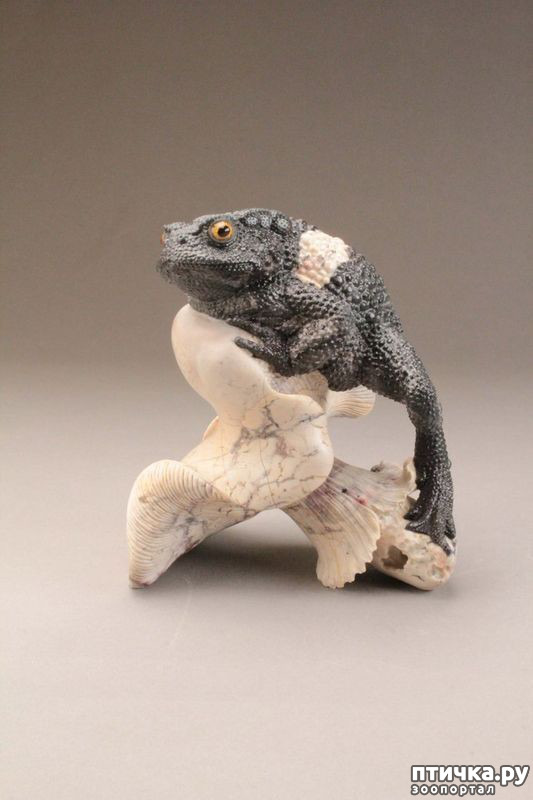 ���� 42: ������ �������� �������� �� Gerd Dreher