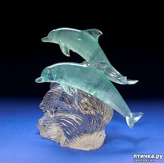 ���� 40: ������ �������� �������� �� Gerd Dreher