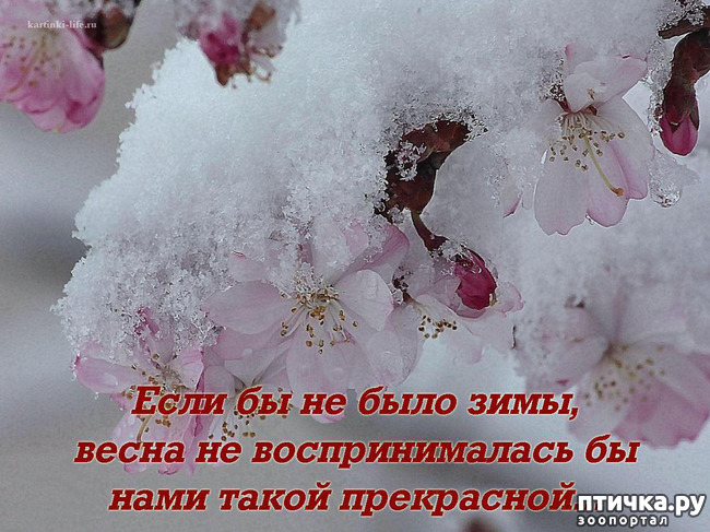 ���� 16: �����������: ����� � �����!!!