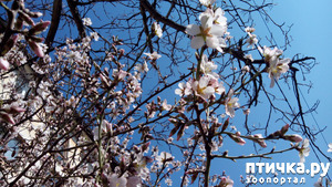 ����: �����-������