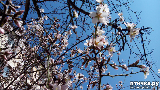 ���� 1: �����-������