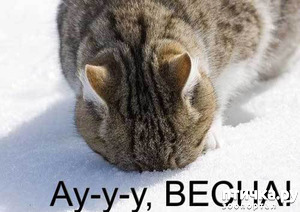 ����: �����������: ����� � �����!!!