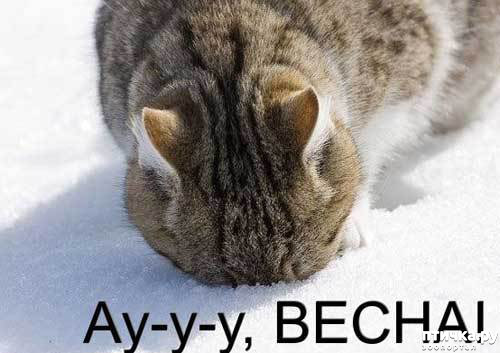 ���� 1: �����������: ����� � �����!!!