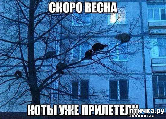 ���� 2: �����������: ����� � �����!!!