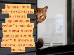 ���� 3: �����������: ����� � �����!!!