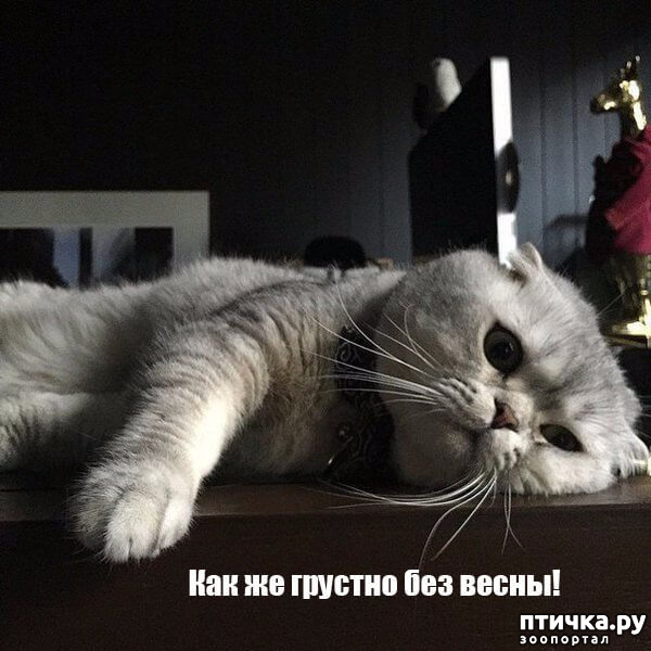 ���� 4: �����������: ����� � �����!!!