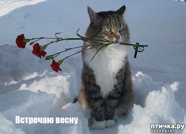 ���� 5: �����������: ����� � �����!!!