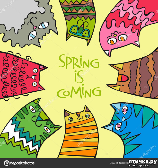 ���� 7: �����������: ����� � �����!!!