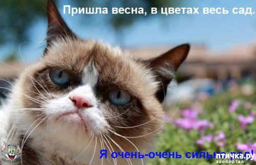 ���� 8: �����������: ����� � �����!!!