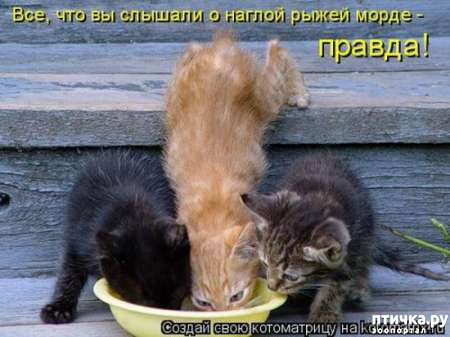 ���� 9: �����������: ����� � �����!!!