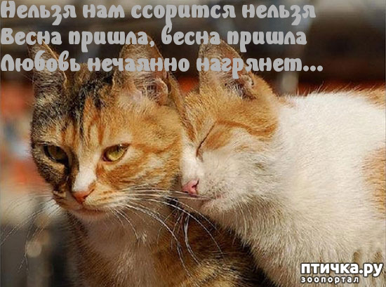 ���� 10: �����������: ����� � �����!!!